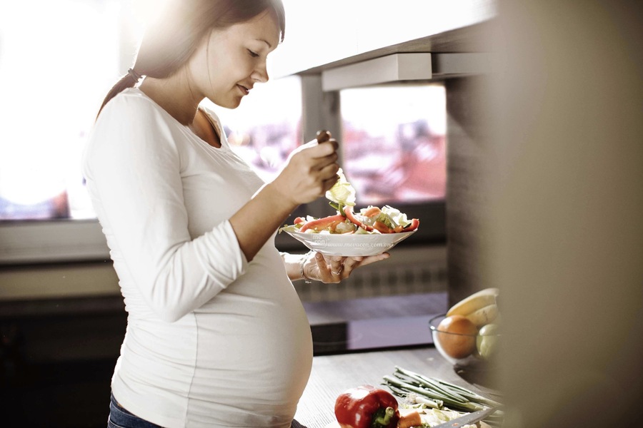 pregnancy diet meal plan