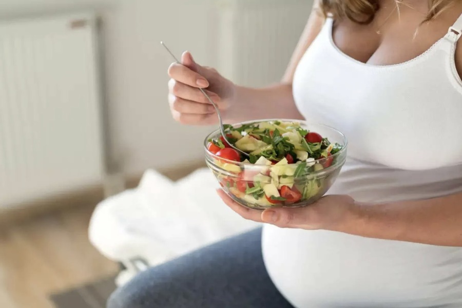 pregnancy diet meal plan